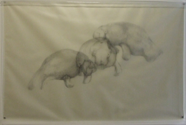 Drawing, Avish Khebrezadeh, Three Manatess, 2009, 72688