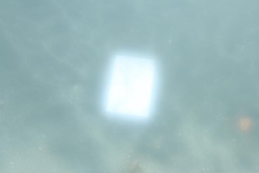 Sara Yektapour, Untitled, 0, 0