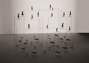 Nasim Abolghasem Ghazvini, Untitled, 2013, 0