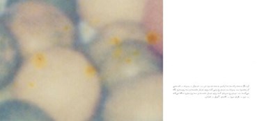 Nastaran Fotouhi, Untitled, 2025, 14820