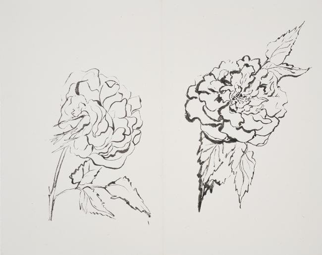 Monir Shahroudy Farmanfarmaian, Rose 02, 0
