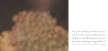 Nastaran Fotouhi, Untitled, 2025, 14820