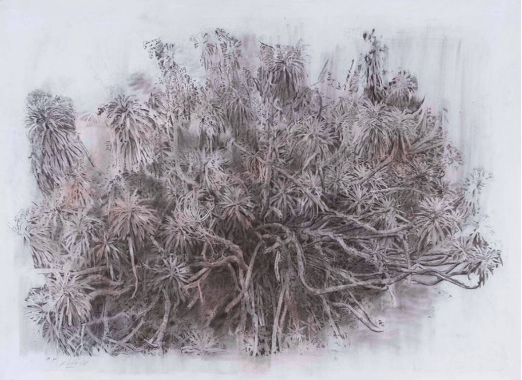 Mina Ghaziani, Untitled, 2024