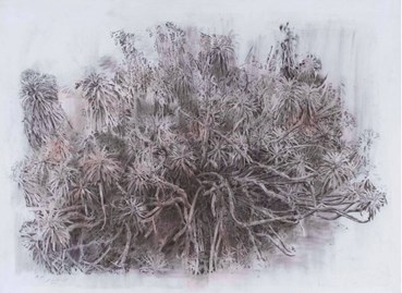 Mina Ghaziani, Untitled, 2024, 0