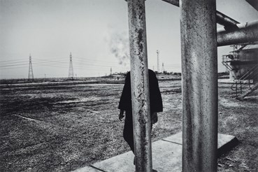 Photography, Babak Kazemi, A Report For d'Arcy, , 80188