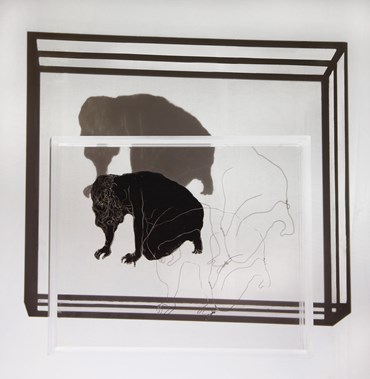 Installation, Shima Esfandiyari, Untitled, 2012, 76665