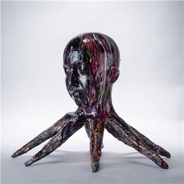 Installation, Nastaran Safaei, Octopus, 2014, 20696