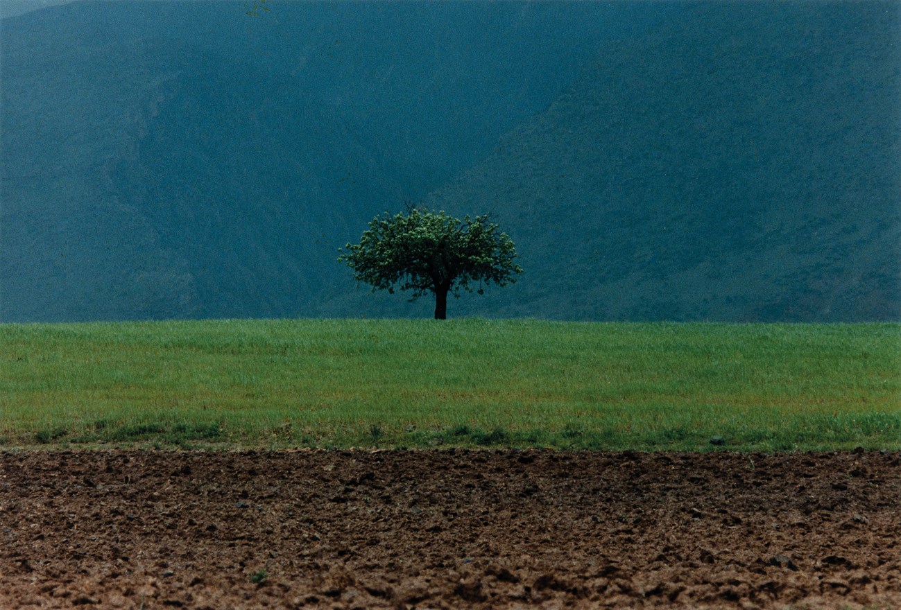 Abbas Kiarostami