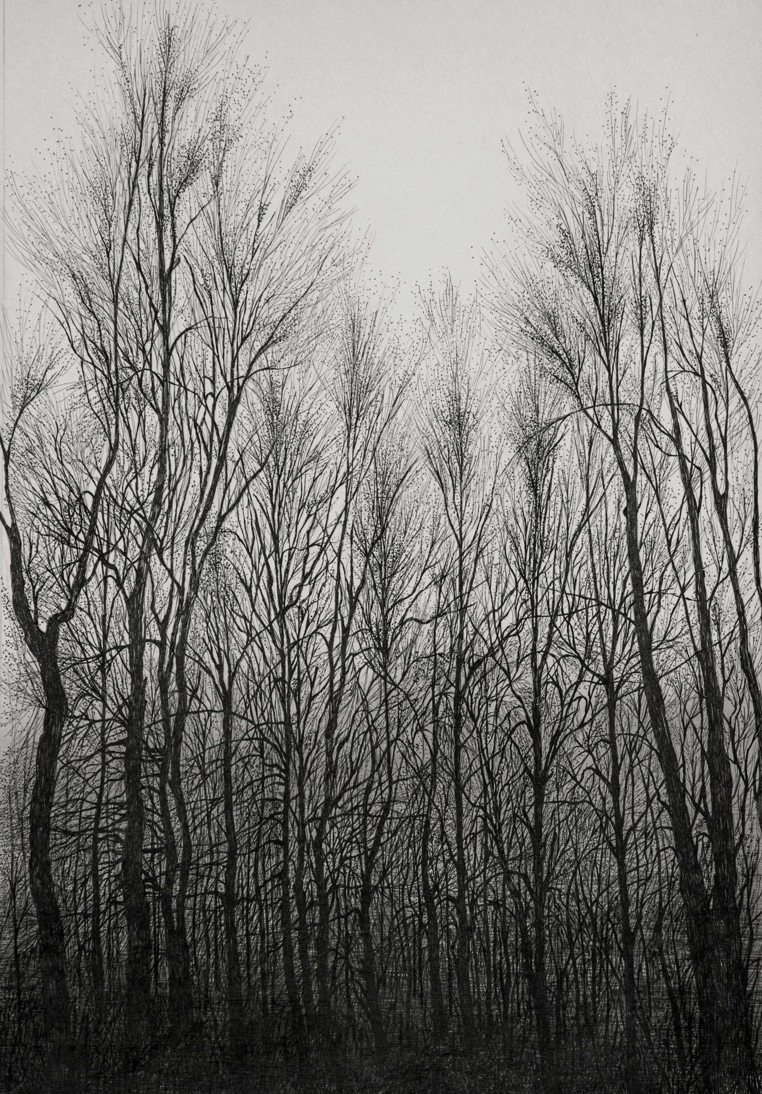 Mahsa Arabzadeh, Untitled, 2021