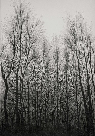 Drawing, Mahsa Arabzadeh, Untitled, 2021, 54324