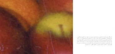 Nastaran Fotouhi, Untitled, 2025, 14820