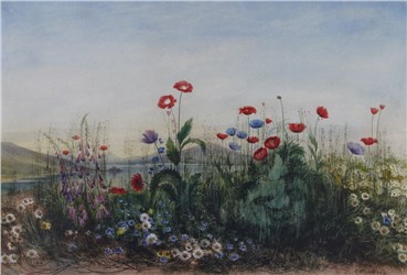 Painting, Andrew Nicholl, July Wild Flowers, , 22409