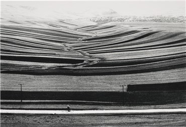 Print and Multiples, Abbas Kiarostami, Untitled, , 20286