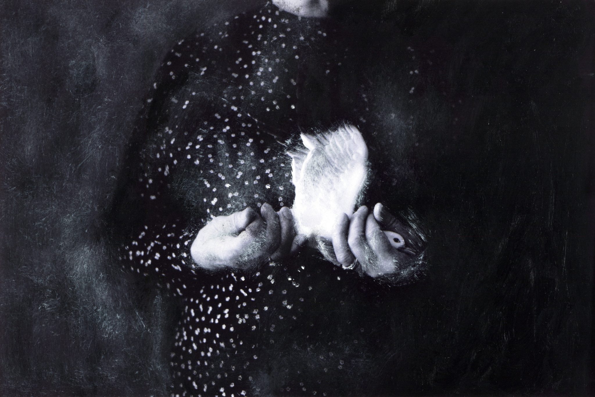 Parisa Aminolahi, Untitled, 2017