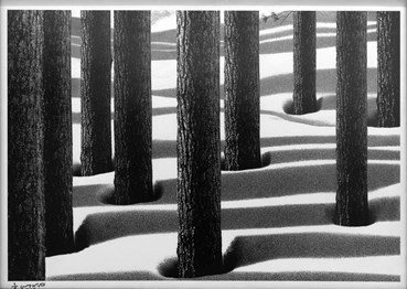 , Abbas Kiarostami, Untitled, 2006, 79587