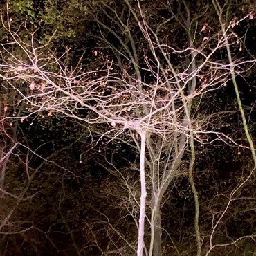 Photography, Kimia Askarian, Untitled, 2023, 76084