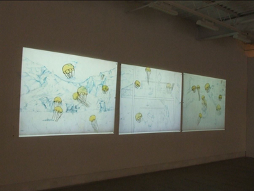 Installation, Avish Khebrezadeh, Solace, So Old, So New, 2007, 72699