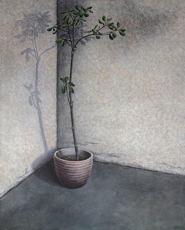 Painting, Mahta Moeini, Daphne Odora, 2025, 78951