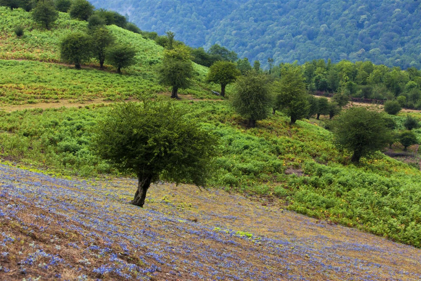 امیر صادقی، بدون عنوان