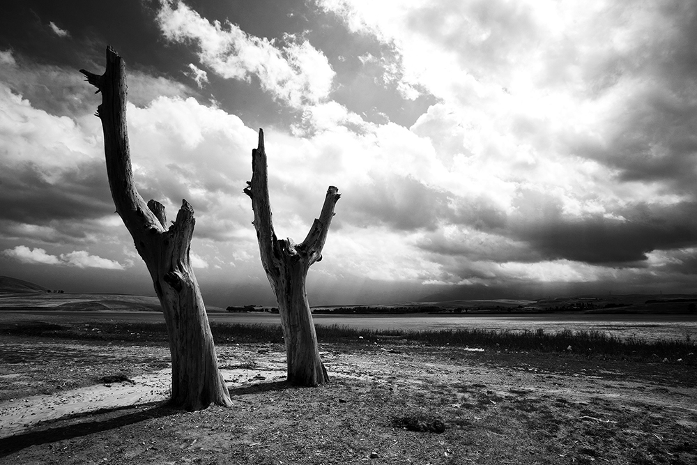 Ali Shokri, Waiting for the Rain, 2010