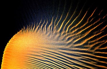 علی قلم سیاه