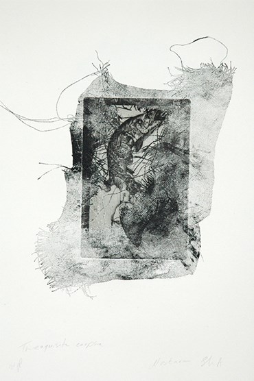 Printmaking, Nastaran Shahbazi, The Exquisite Corpse, 2013, 51445