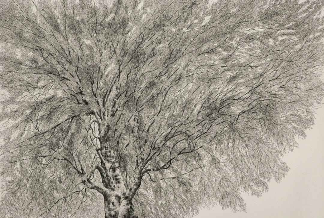 مهسا عرب‌زاده