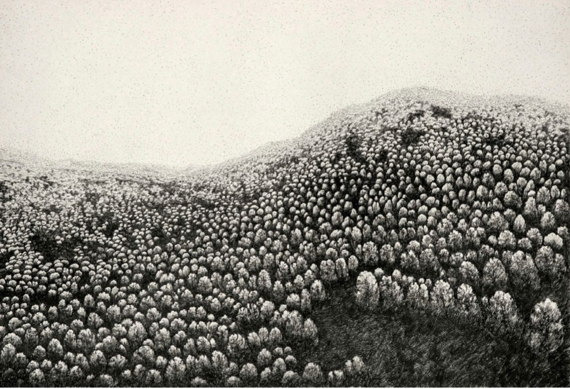 Mahsa Arabzadeh, Untitled, 2021