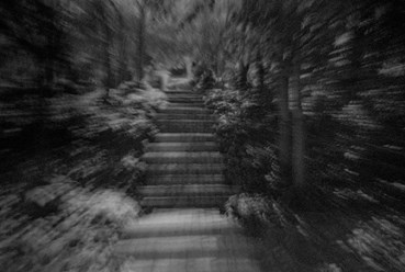 Nasrin Larijani, Night, Niloo Park, 03:52:01 P.M, 2023, 0