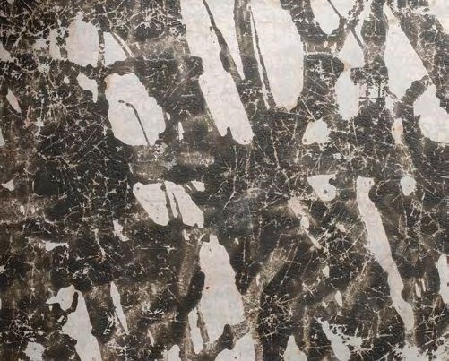 سلمان مقدسی