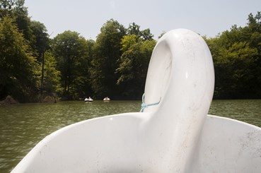 Saeede Doost‌‌bekheir, Untitled, 2018, 0