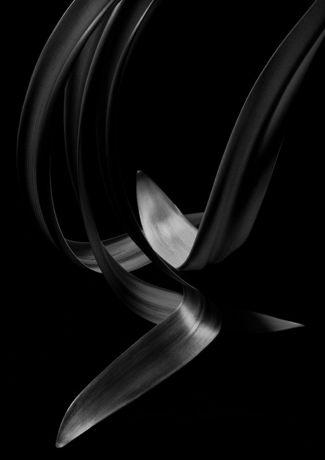 Kenro Izu, Untitled, 0