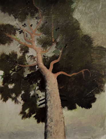 Painting, Anahita Darab Beigi, Untitled, , 82713