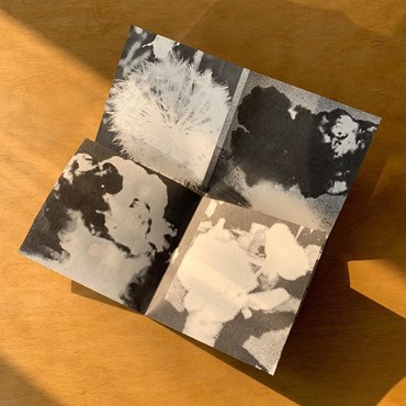 , Shahrooz Mohammad, the Blossoms, 2024, 75850