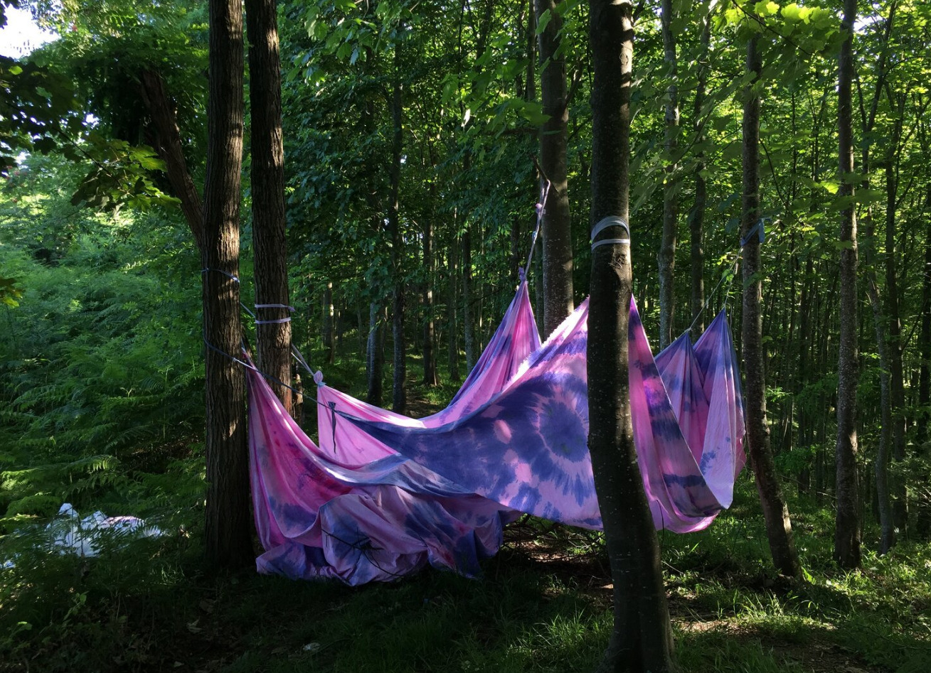 Leila Seyedzadeh, Untitled, 0