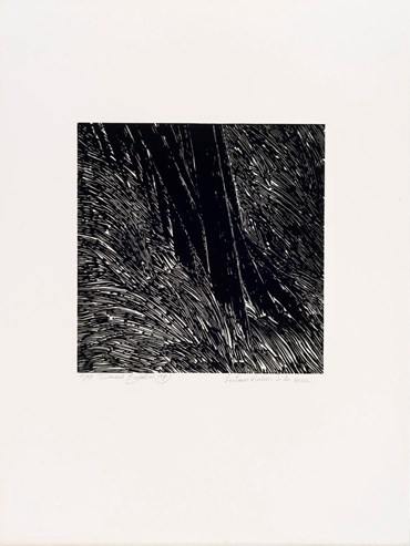 Davood Emdadian, Les Troncs D'arbres a la Brise, 1980, 0
