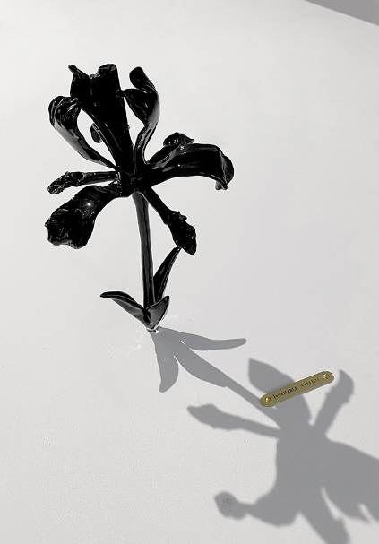 Anahita Norouzi, What It Is In a Name, 2024