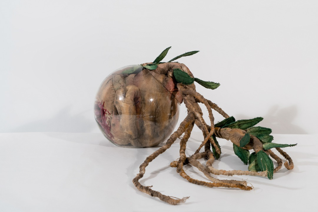 Parisa Taghipour, The Rabbit’s Nest, 2020