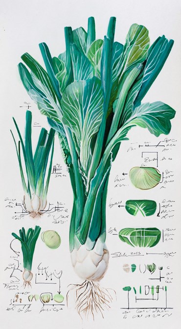 Painting, Elaheh Ramezani, Studying Specimen, Sorted, Serialized: Spring Onion, 2025, 83730