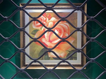 Omid Shirazi, Untitled, 0, 0