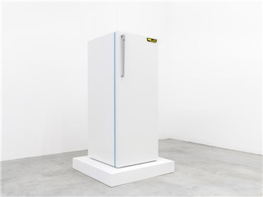 Installation, Sirous Namazi, Refrigerator, 2015, 16251
