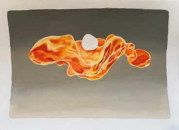 , Nima Zaare Nahandi, Study 2, 2023, 82038