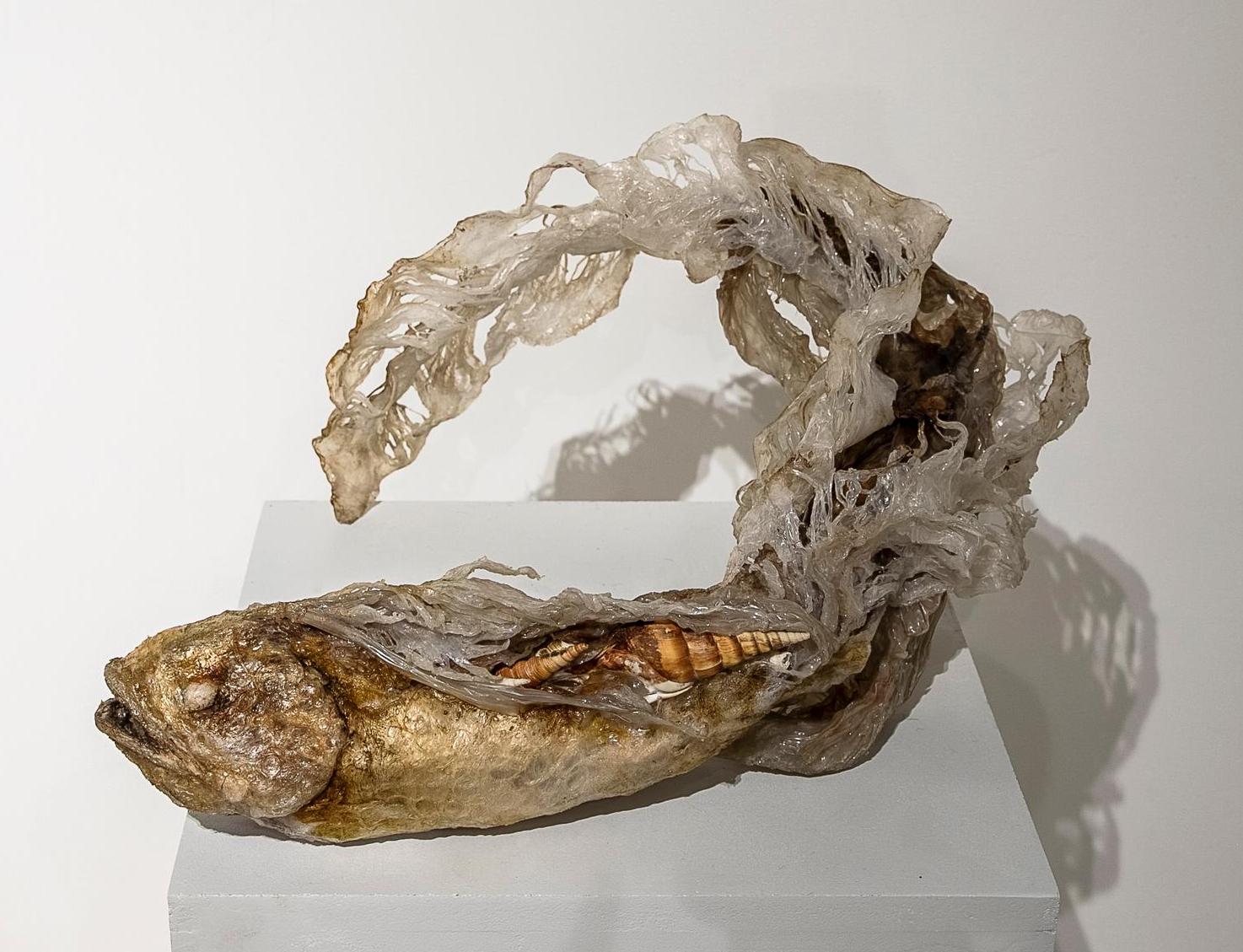 Elham Fallahi, Untitled 2, 2022