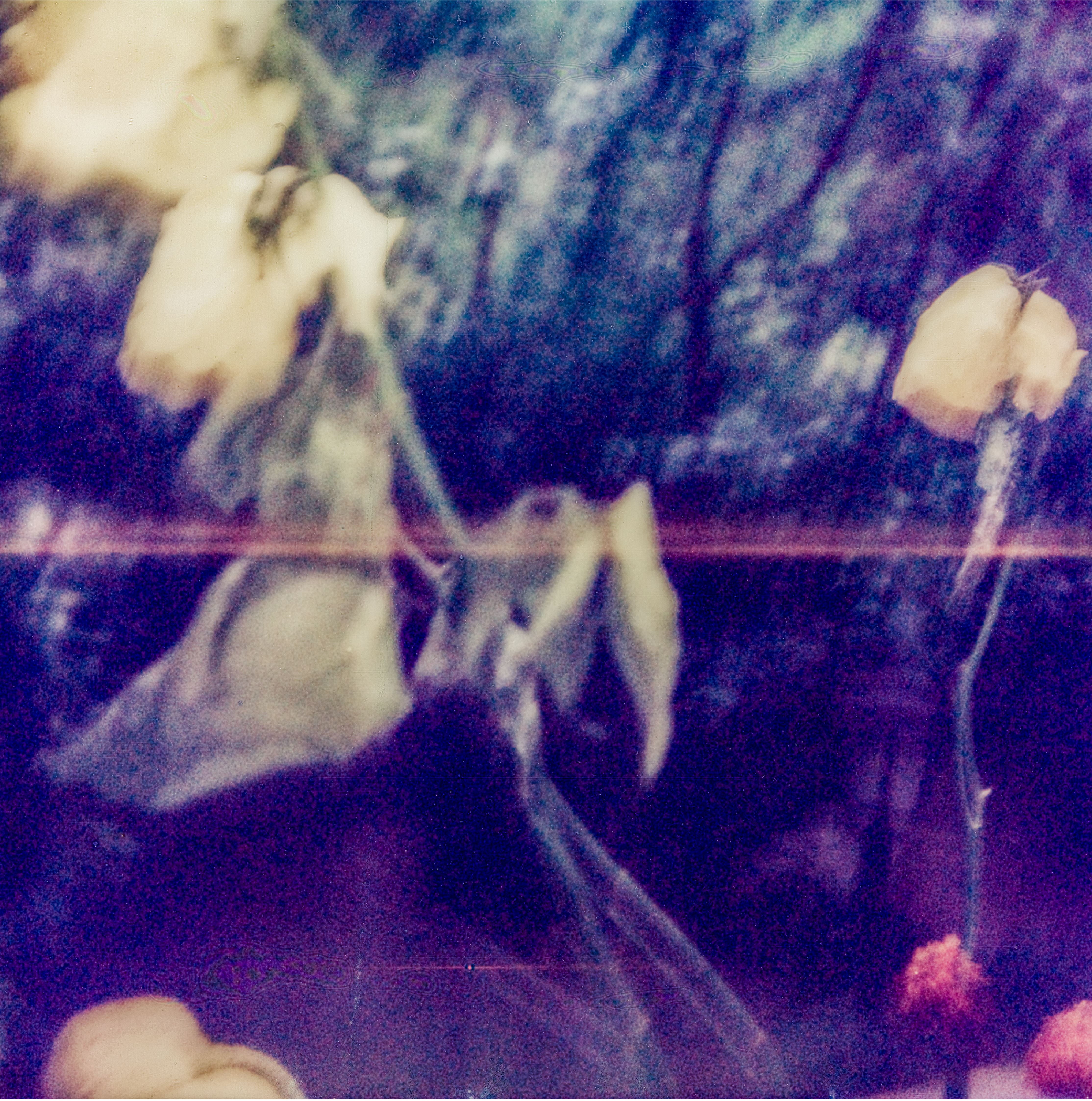 Mehrdad Afsari, Untitled, 0