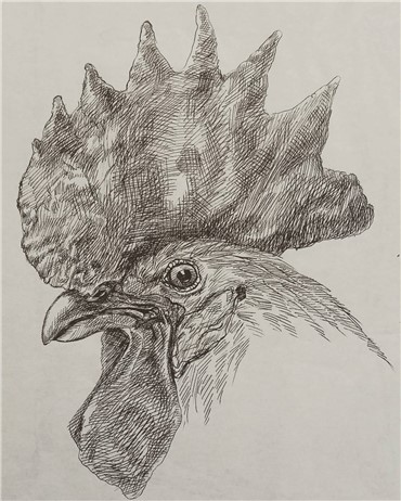 Works on paper, Mojtaba Ramzi (Moji), Rooster, 1996, 11131