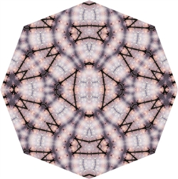 home-scroll-6-2