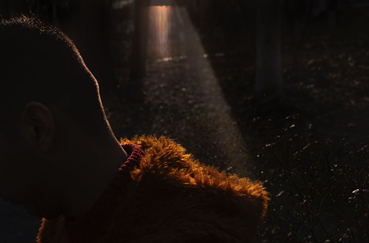 Photography, Nooshin Shafiei, Untitled, 2024, 79284