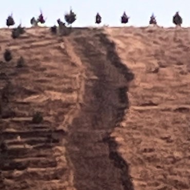 Photography, Kimia Askarian, 7 September 2021, 2023, 76094