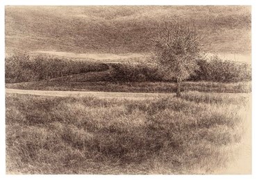 Afsaneh Masaeli, Untitled, 2022, 0