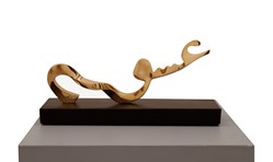 هادی روشن ضمیر